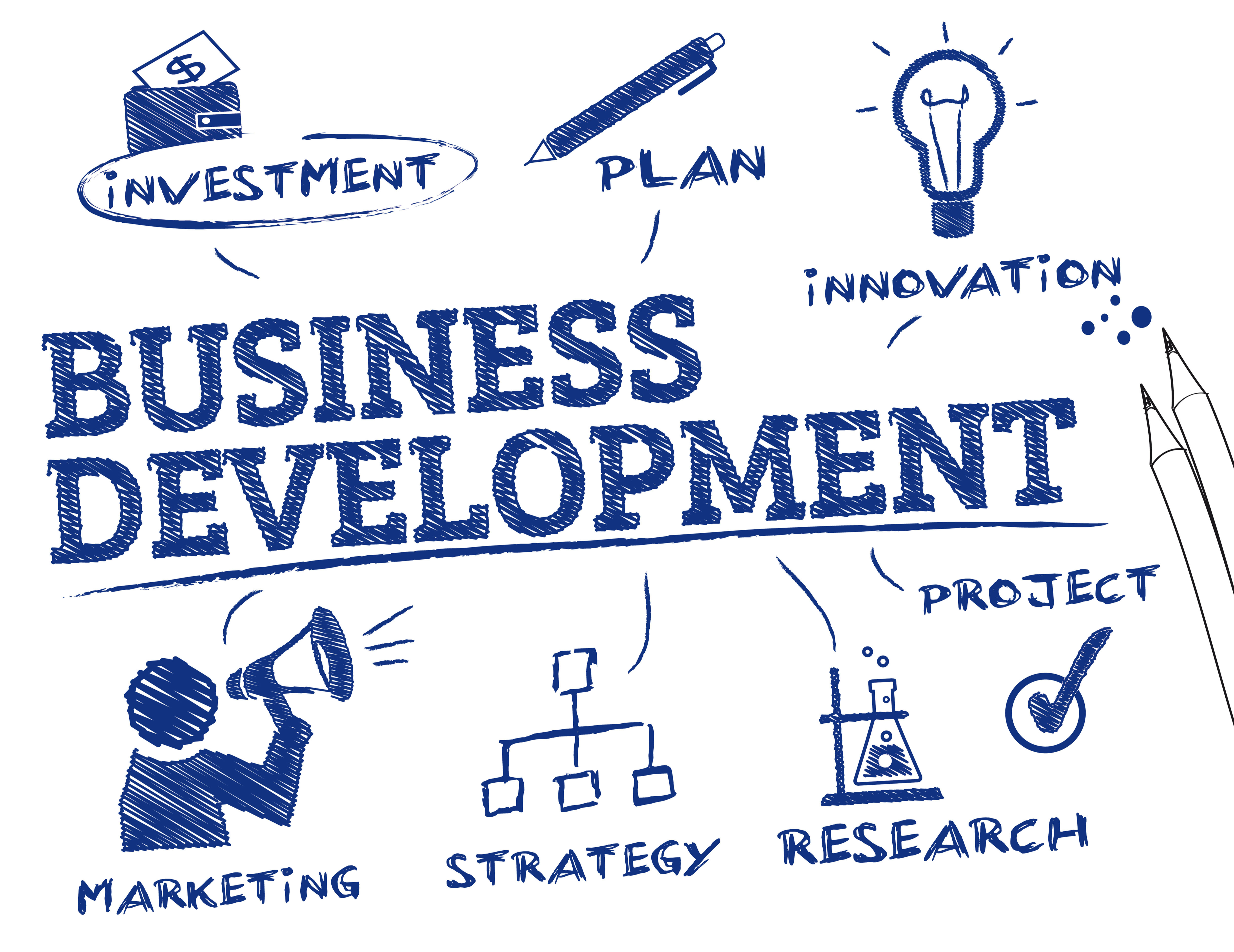 business development manager 101